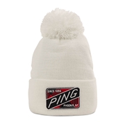 Ping ヘッドカバー 限定の商品一覧 通販 - Yahoo!ショッピング