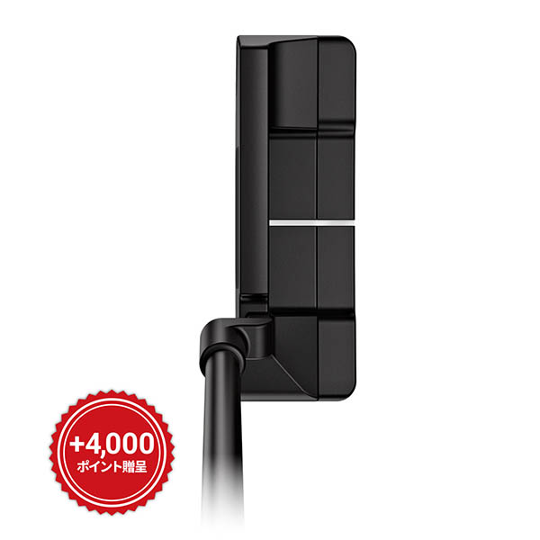 パター PING アンサー2D