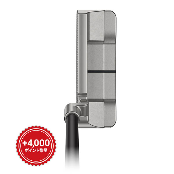 パター PING アンサー D