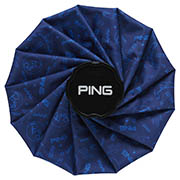 AC-U2605 アイスパック