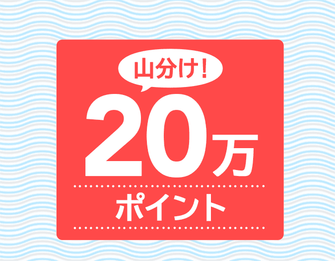 20万ポイント山分け