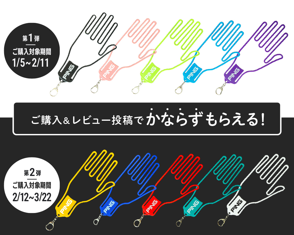 ご購入&レビュー投稿でかならずもらえる！