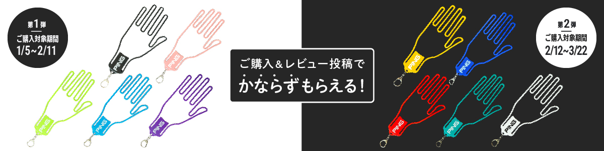 ご購入&レビュー投稿でかならずもらえる！
