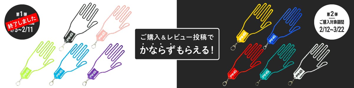 ご購入&レビュー投稿でかならずもらえる！