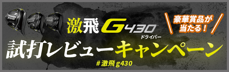 G430レビューキャンペーン