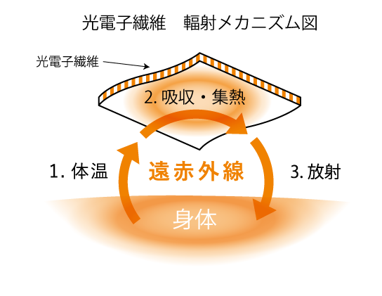 光電子繊維 輻射メカニズム図
