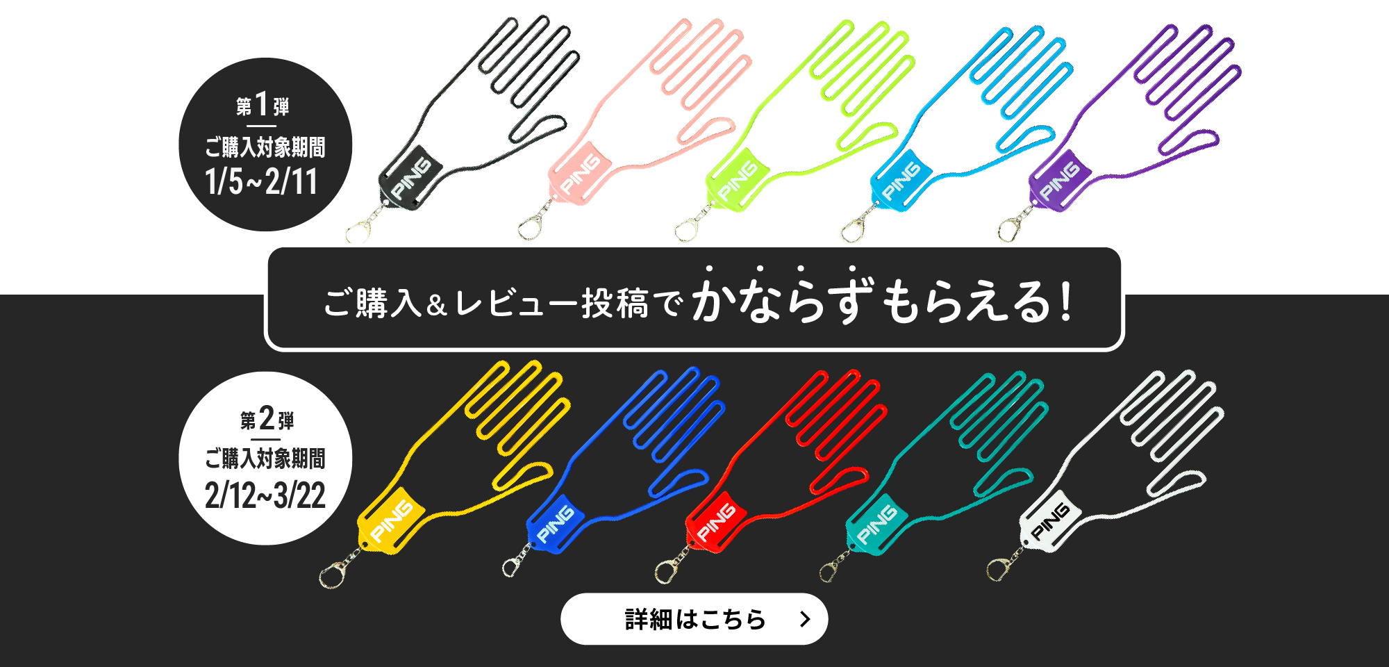 ご購入&レビュー投稿でかならずもらえる！