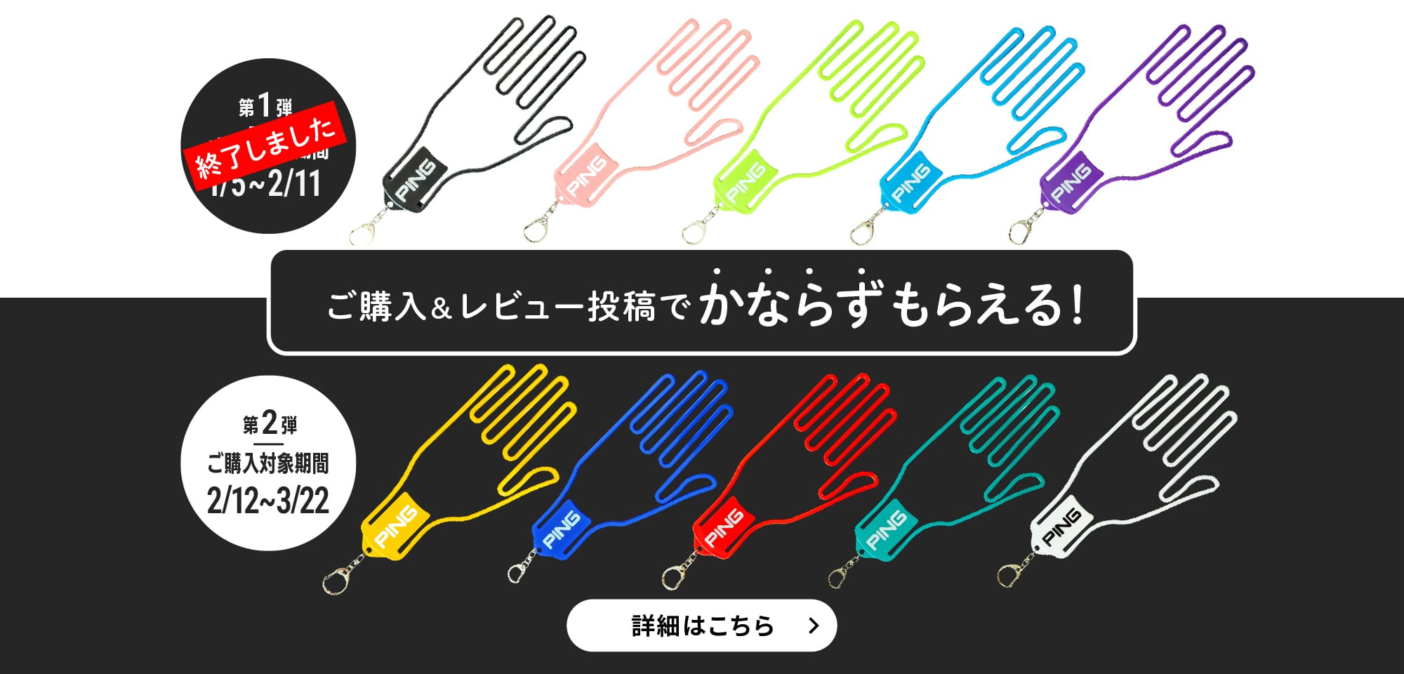 ご購入&レビュー投稿でかならずもらえる！