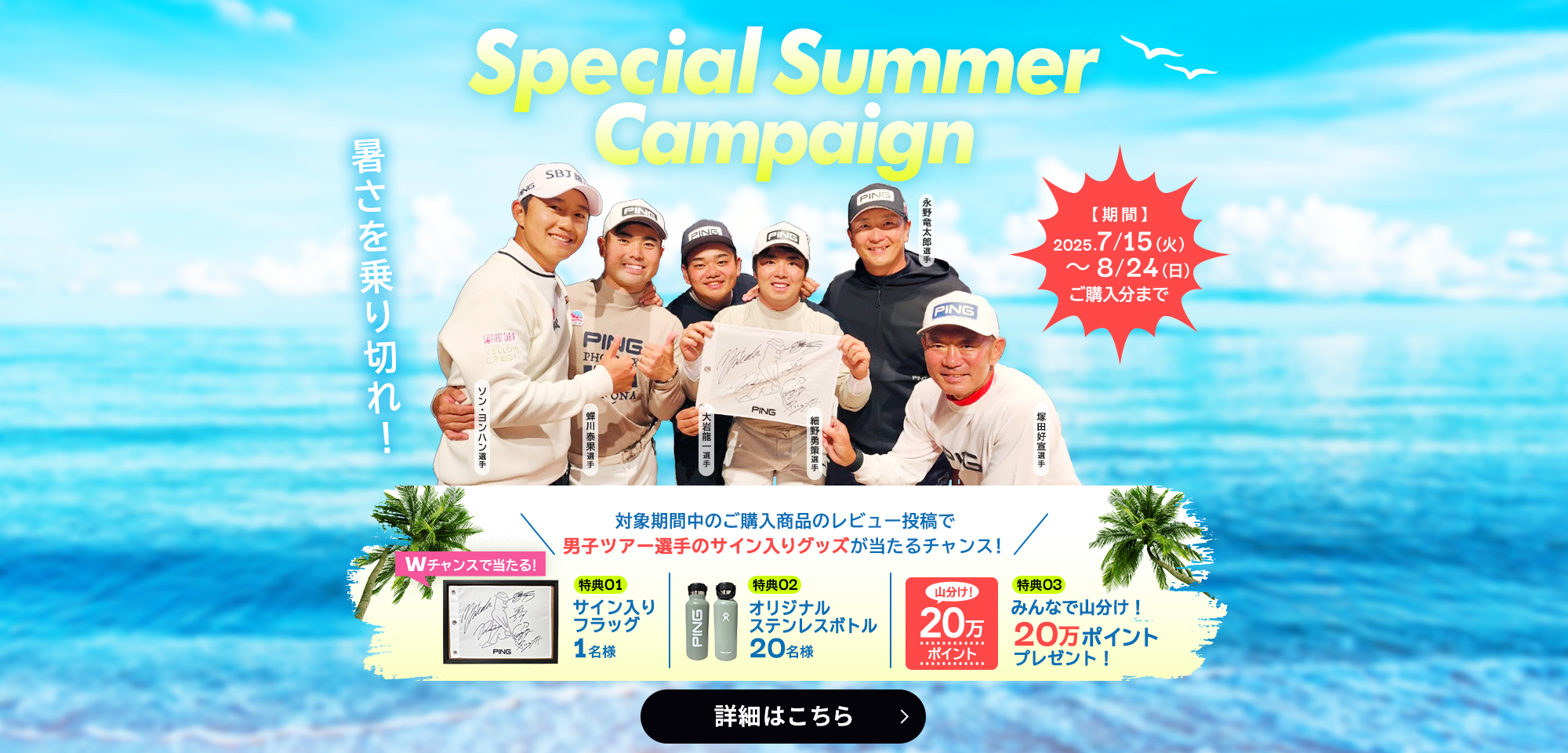Special Summer Campaign