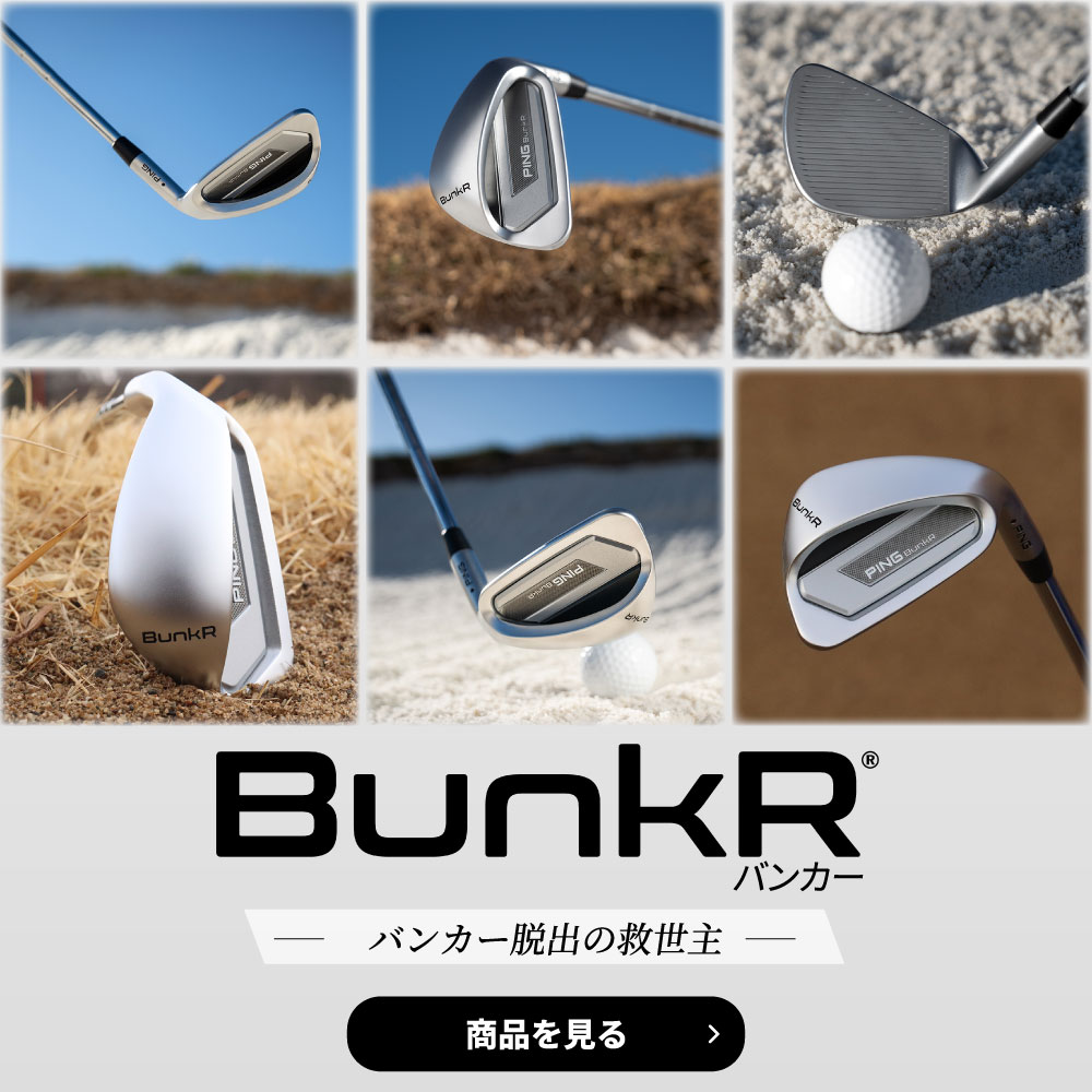 NIKE - 状態良好　NIKE PING ゴルフクラブセット　豪華14本　キャディーバッグ 楽天市場】【現品限り】【ゴルフ】【キャディバッグ付セット